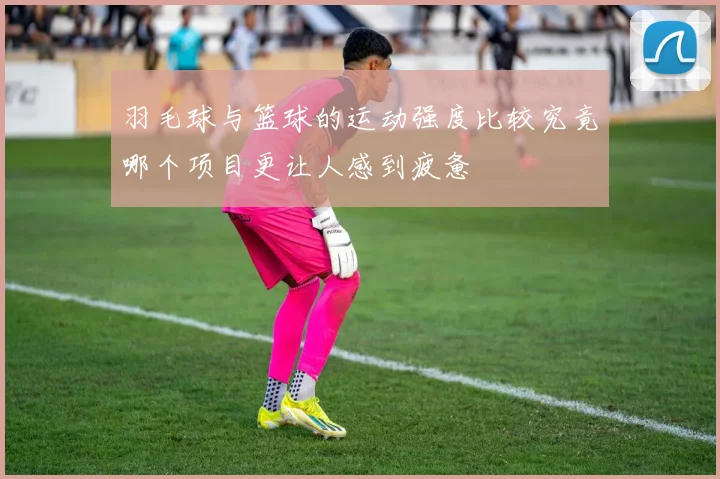 羽毛球与篮球的运动强度比较究竟哪个项目更让人感到疲惫