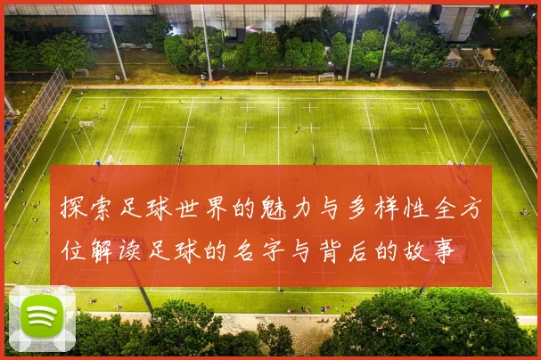 探索足球世界的魅力与多样性全方位解读足球的名字与背后的故事